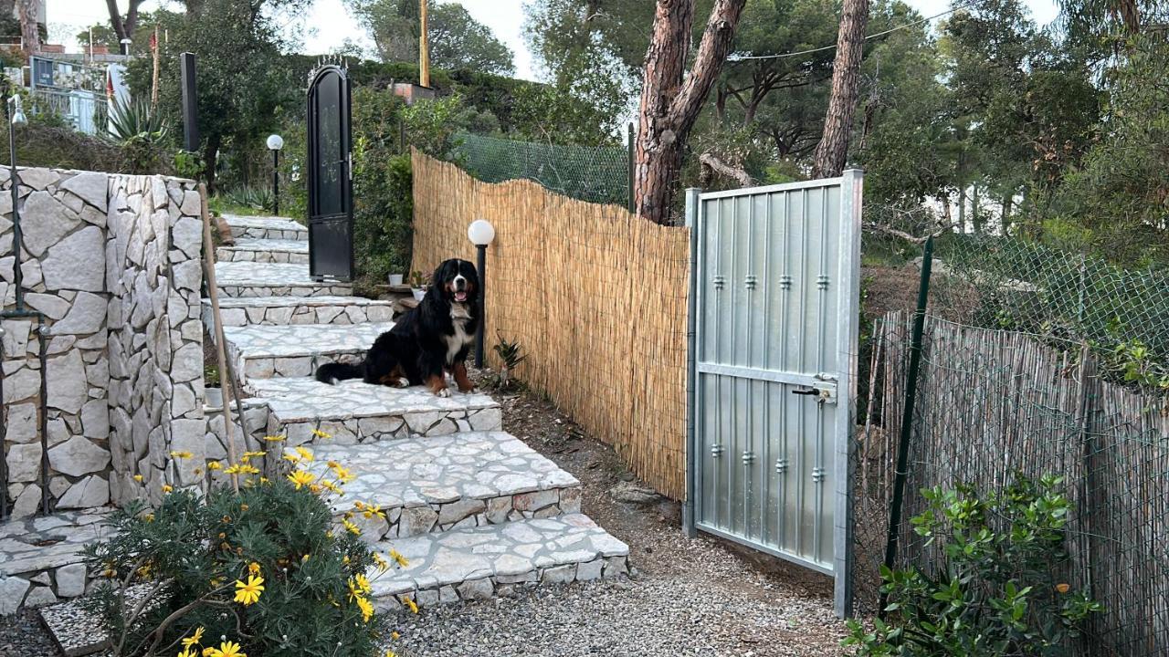 Suosogno Sul Mare 200Metri Dalla Spiaggia Capoliveri  Eksteriør bilde